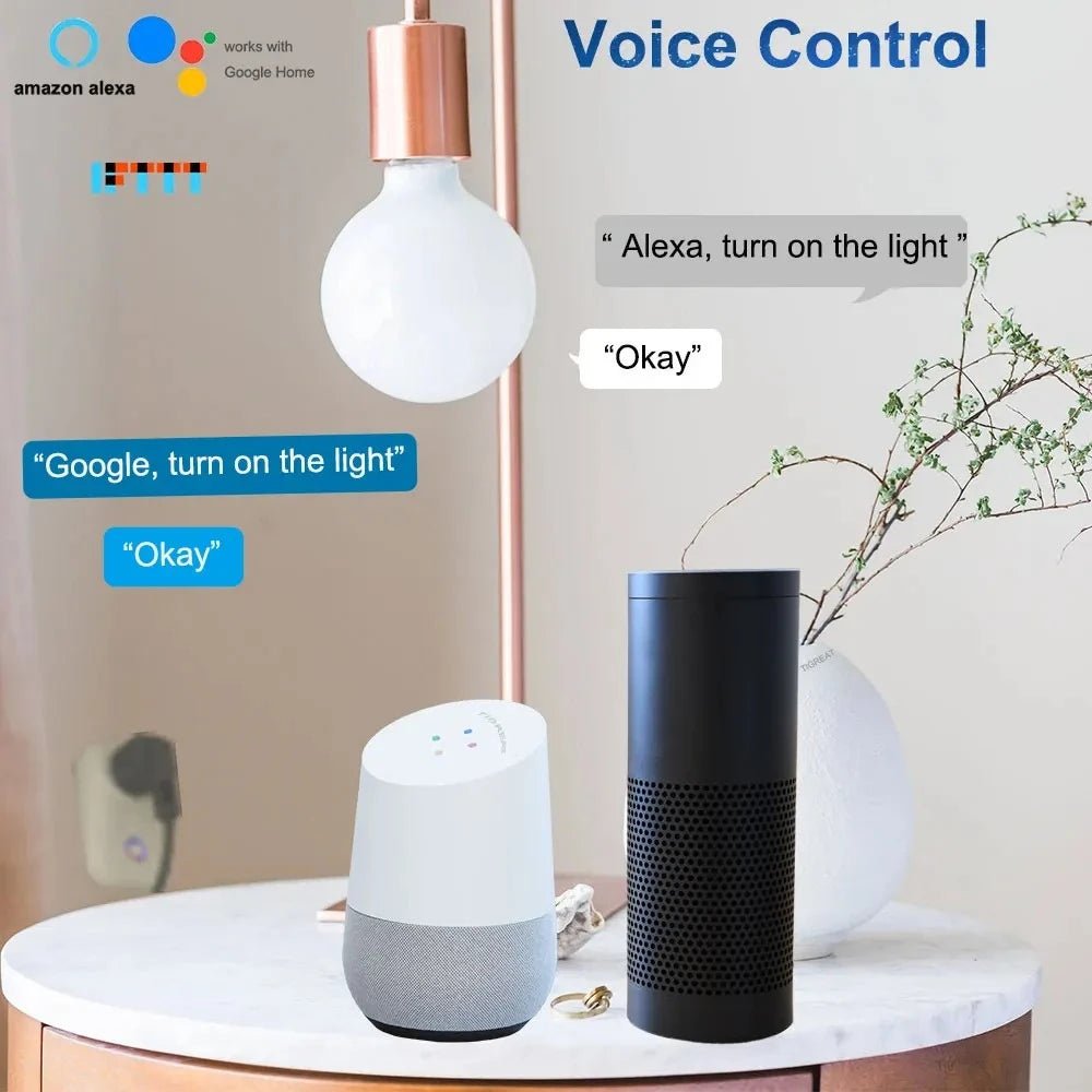 16A Israel Smart Plug WIFI Socket Bluetooth USB ISR IL Outlet - Voice Timer Remote - Tuya/Alexa/IFTTT/ Life Home Automatio - Figgostyle