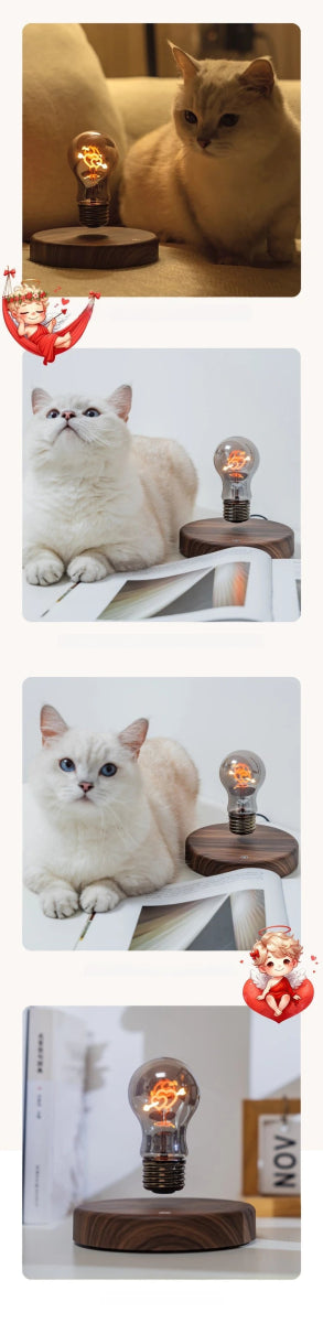 Magnetic Levitation Lamp 360° Rotation Creativity Floating Glass LED Bulb - Figgostyle